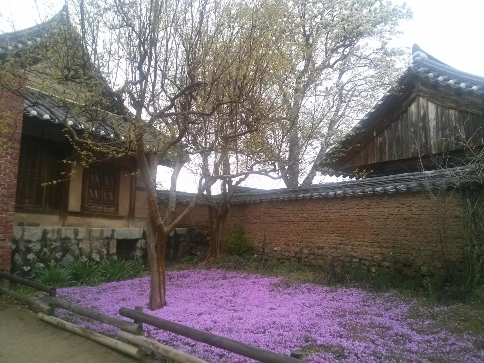 Hahoe Chunghyodang * Andong