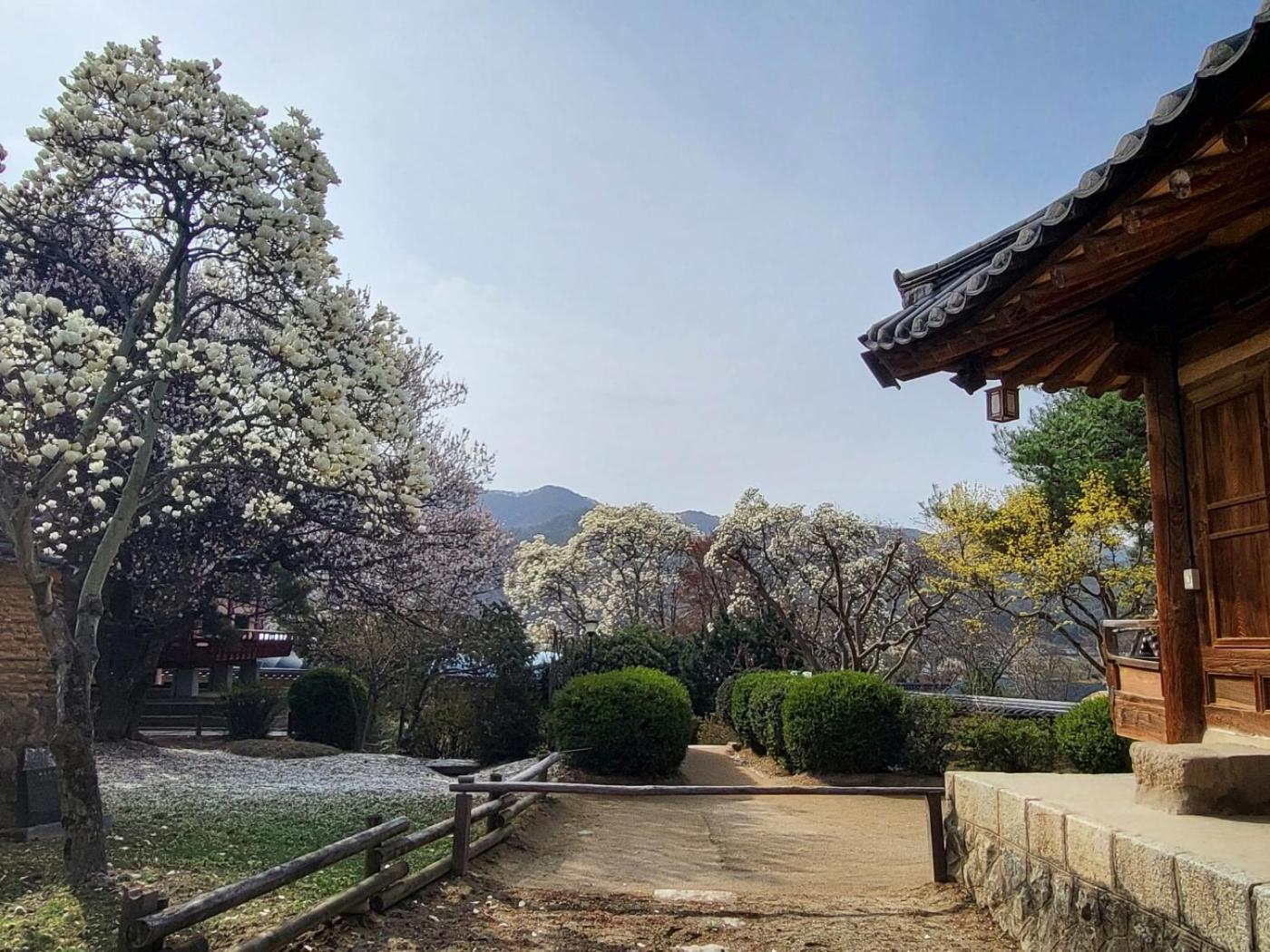 Hahoe Chunghyodang Holiday home Andong